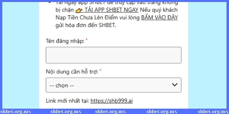 Khi nào cần liên hệ tư vấn viên hỗ trợ từ nhà cái